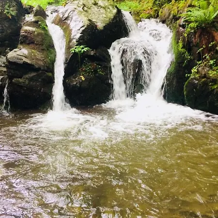 Domacinstvo Trifunovic Pansiyon