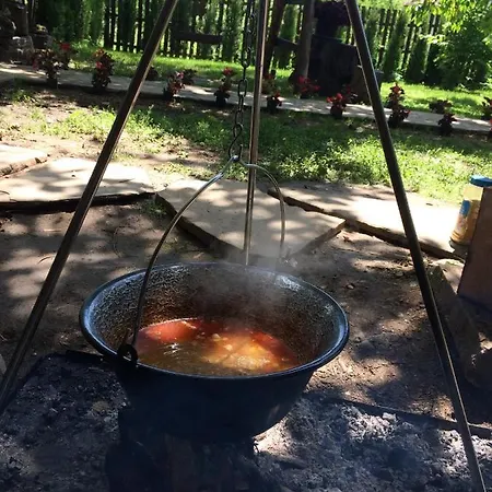 Privat bolig Domacinstvo Trifunovic