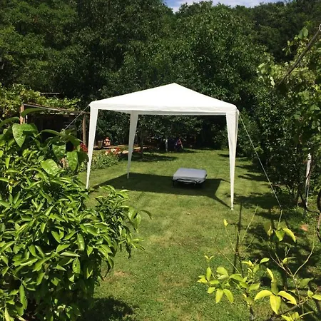 Domacinstvo Trifunovic