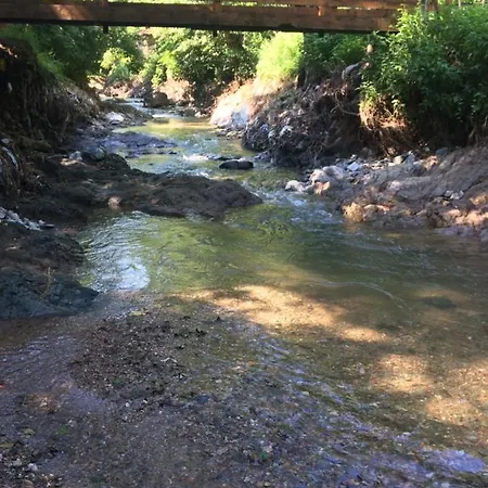 Domacinstvo Trifunovic