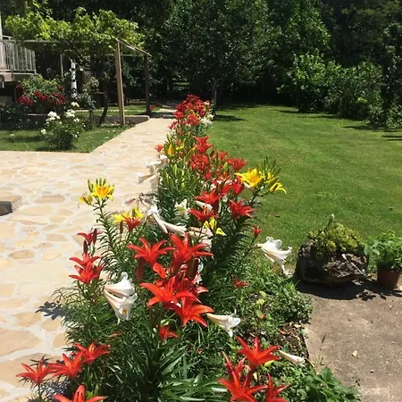 Privat bolig Domacinstvo Trifunovic Pretresnja