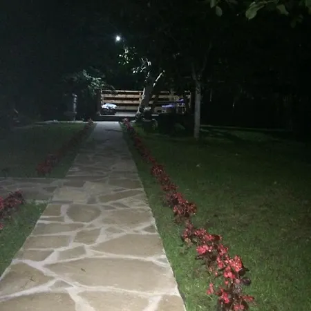 Domacinstvo Trifunovic *