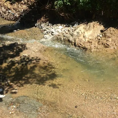 Privat bolig Domacinstvo Trifunovic