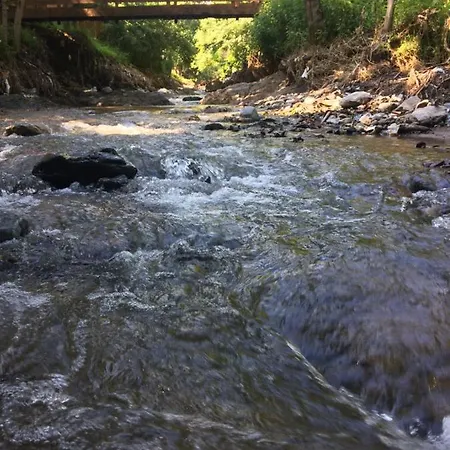 Domacinstvo Trifunovic *