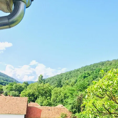 Homestay Domacinstvo Trifunovic