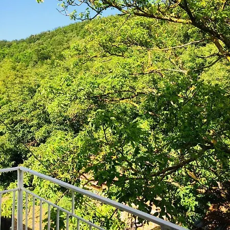 Domacinstvo Trifunovic Pretresnja