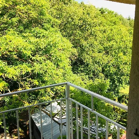 Domacinstvo Trifunovic