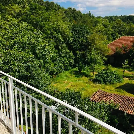 Domacinstvo Trifunovic Pretresnja