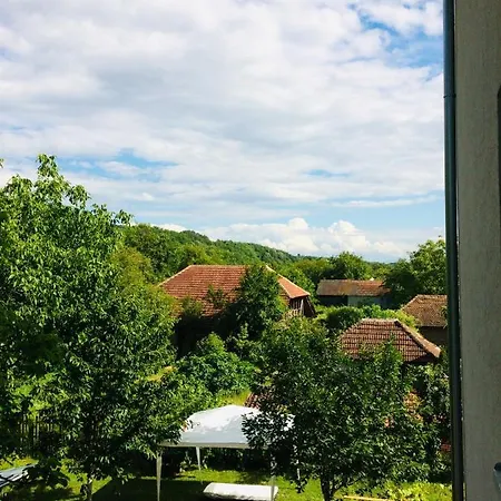 Domacinstvo Trifunovic Pretresnja