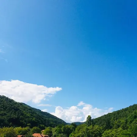 Domacinstvo Trifunovic * Pretresnja