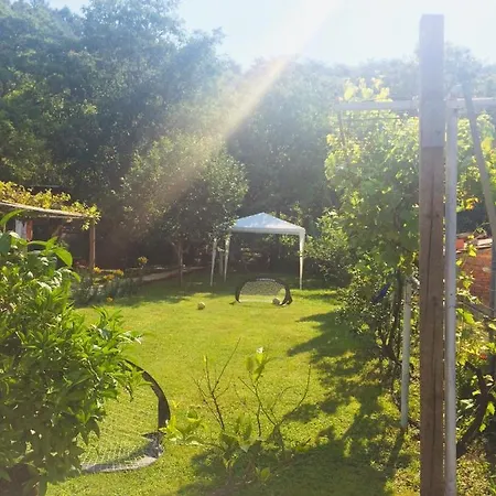 Homestay Domacinstvo Trifunovic