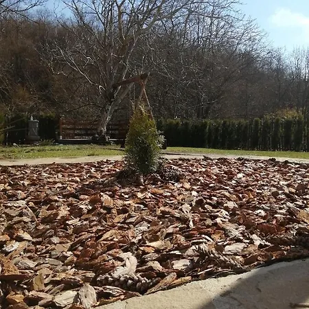 Domacinstvo Trifunovic Pretresnja