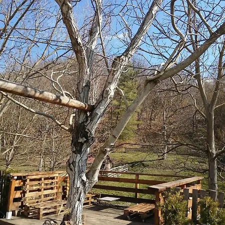 Domacinstvo Trifunovic Pretresnja