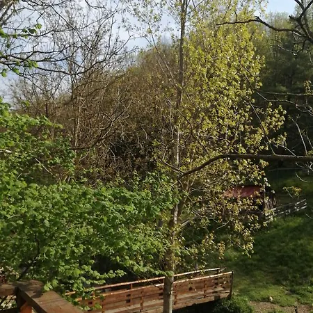 Privat bolig Domacinstvo Trifunovic *