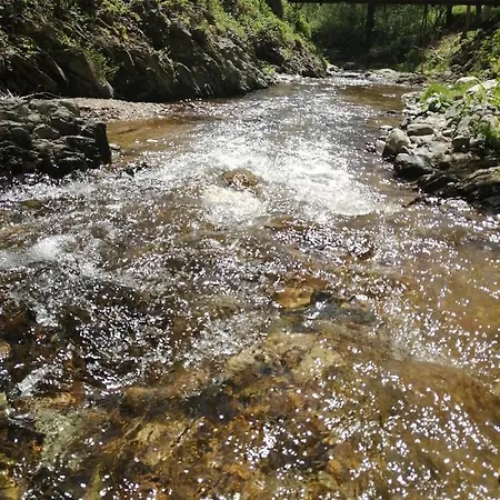 Domacinstvo Trifunovic Pansiyon *