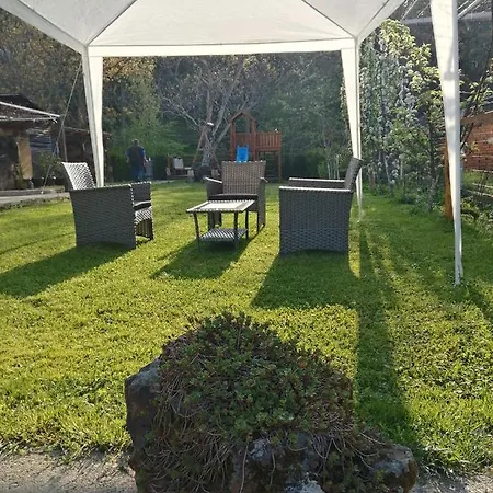 Domacinstvo Trifunovic Homestay