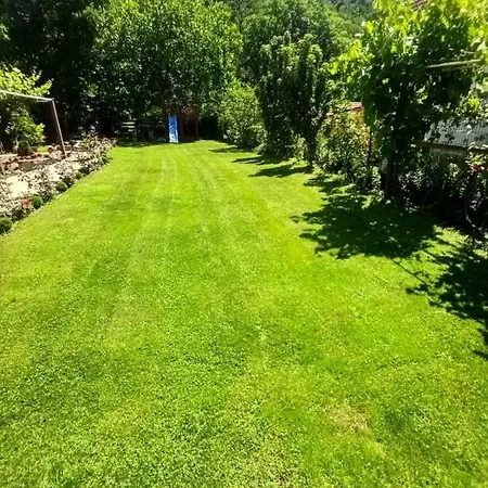 Domacinstvo Trifunovic Homestay *