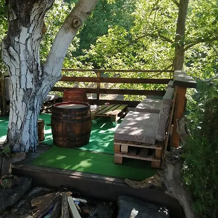 Domacinstvo Trifunovic