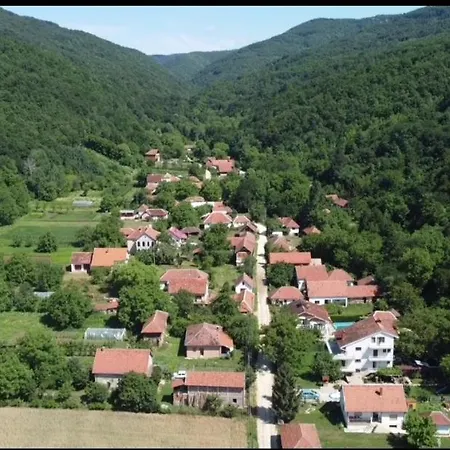 Domacinstvo Trifunovic Проживание в семье Pretresnja