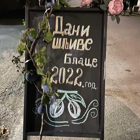 Domacinstvo Trifunovic *