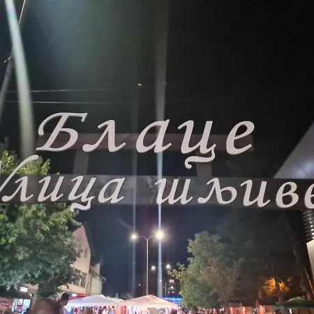 Domacinstvo Trifunovic Pretresnja