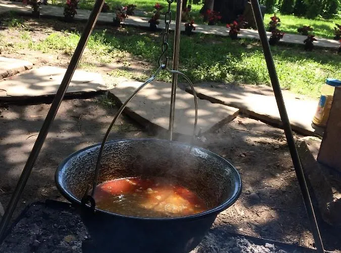 Проживание в семье Domacinstvo Trifunovic