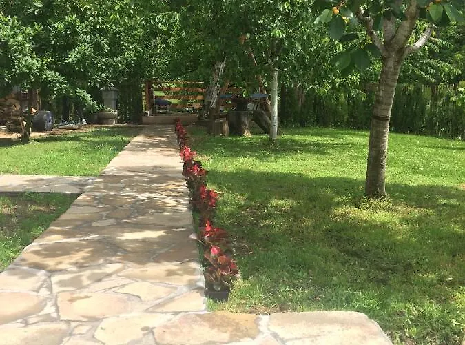 Domacinstvo Trifunovic Проживание в семье Pretresnja