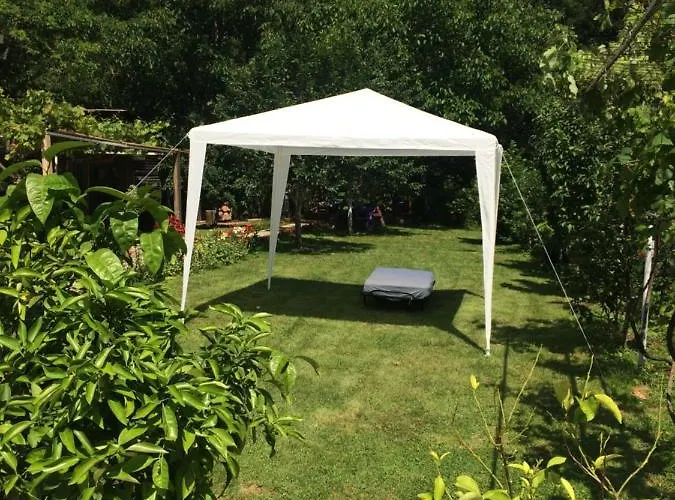 Domacinstvo Trifunovic