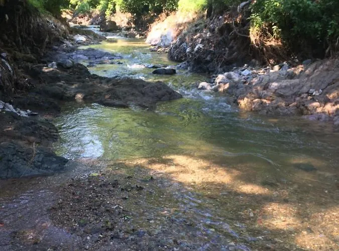 Domacinstvo Trifunovic