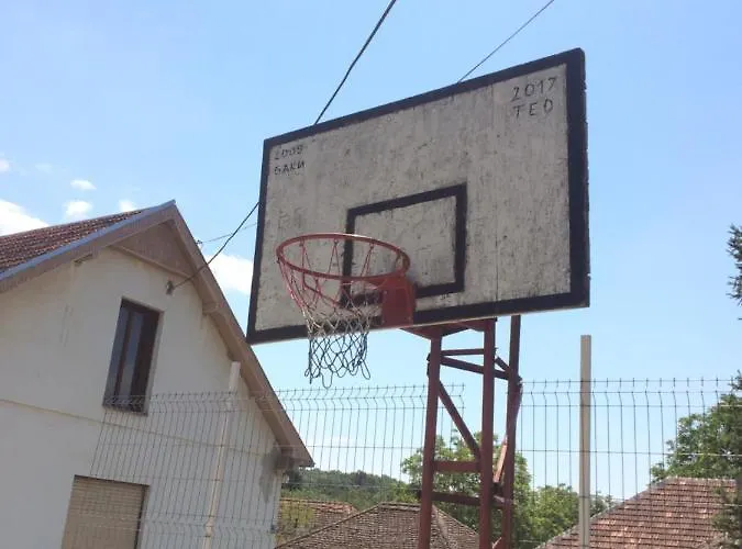 Domacinstvo Trifunovic Проживание в семье Pretresnja