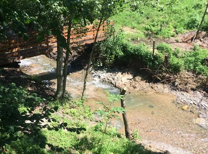 Domacinstvo Trifunovic Проживание в семье *