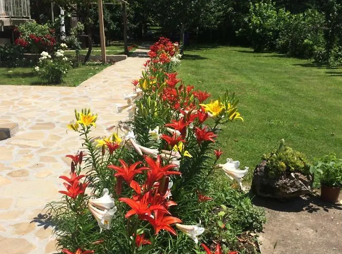 Проживание в семье Domacinstvo Trifunovic Pretresnja