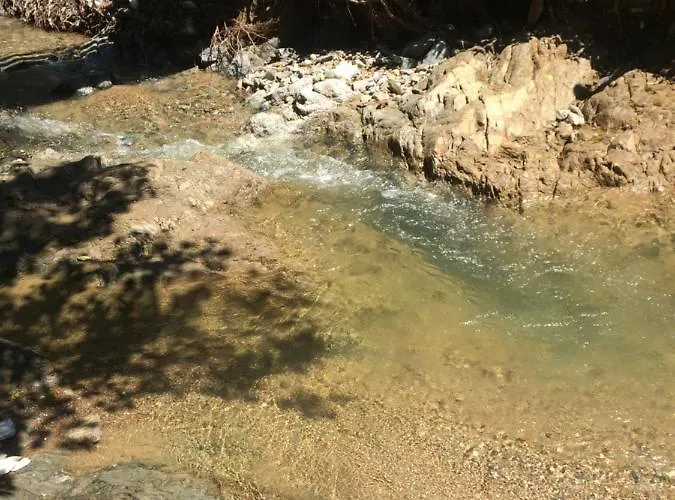 Проживание в семье Domacinstvo Trifunovic