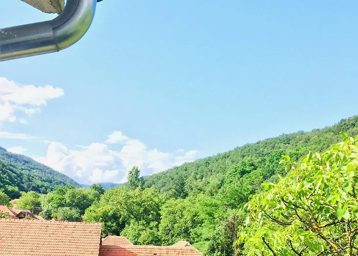 Проживание в семье Domacinstvo Trifunovic