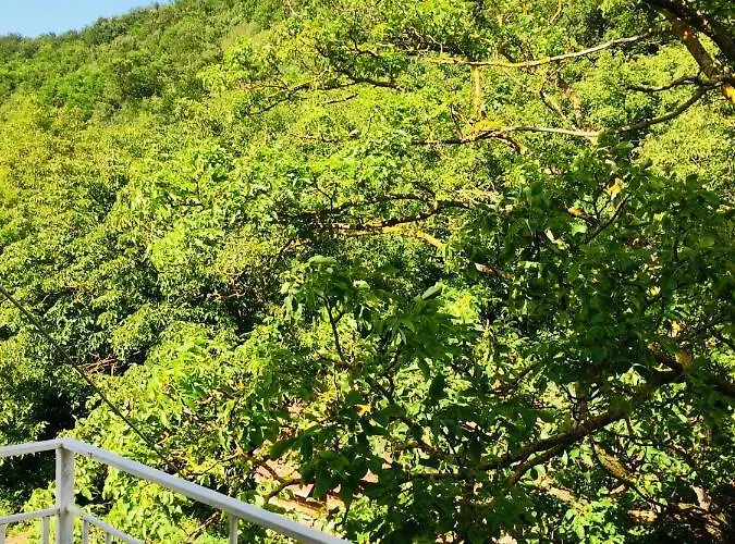 Domacinstvo Trifunovic Pretresnja