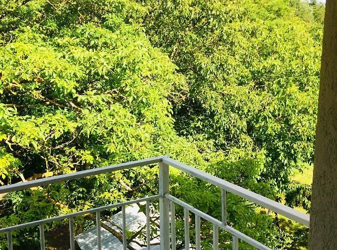 Domacinstvo Trifunovic