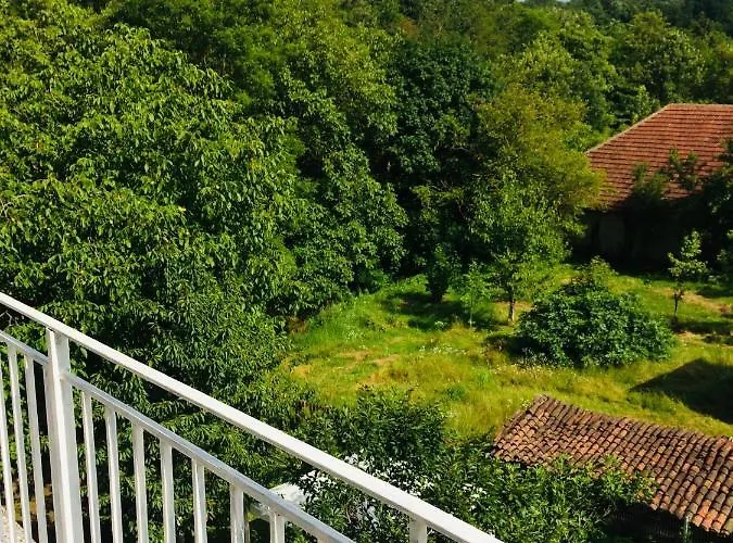 Domacinstvo Trifunovic Pretresnja