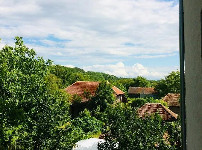 Domacinstvo Trifunovic Pretresnja