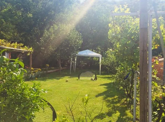 Проживание в семье Domacinstvo Trifunovic