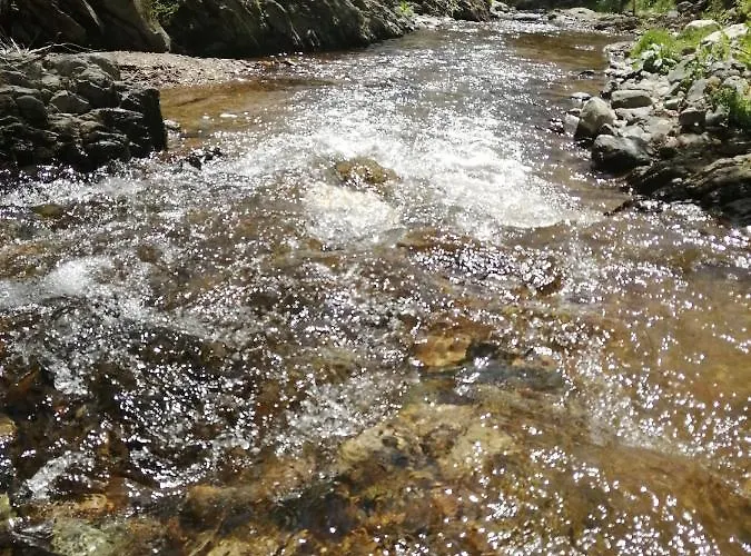 Domacinstvo Trifunovic Проживание в семье *