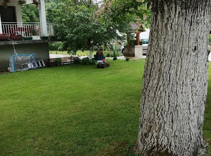 Domacinstvo Trifunovic Проживание в семье *