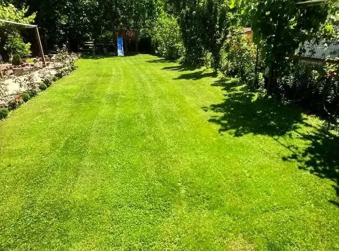 Domacinstvo Trifunovic Проживание в семье *